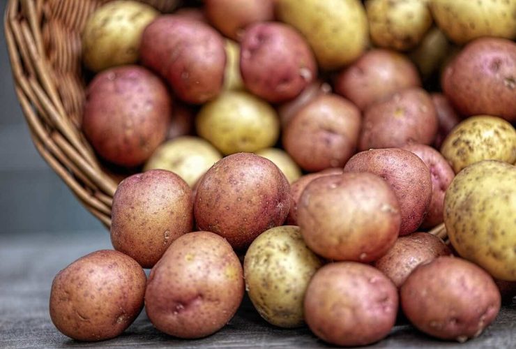 Kolorowe ziemniaki czyli „superfoods” po polsku